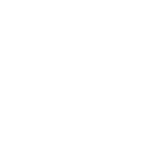 example-white